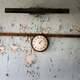 Imagen para el artículo titulado Hongos que se alimentan de la radiación están prosperando en las paredes de los reactores de Chernobyl
